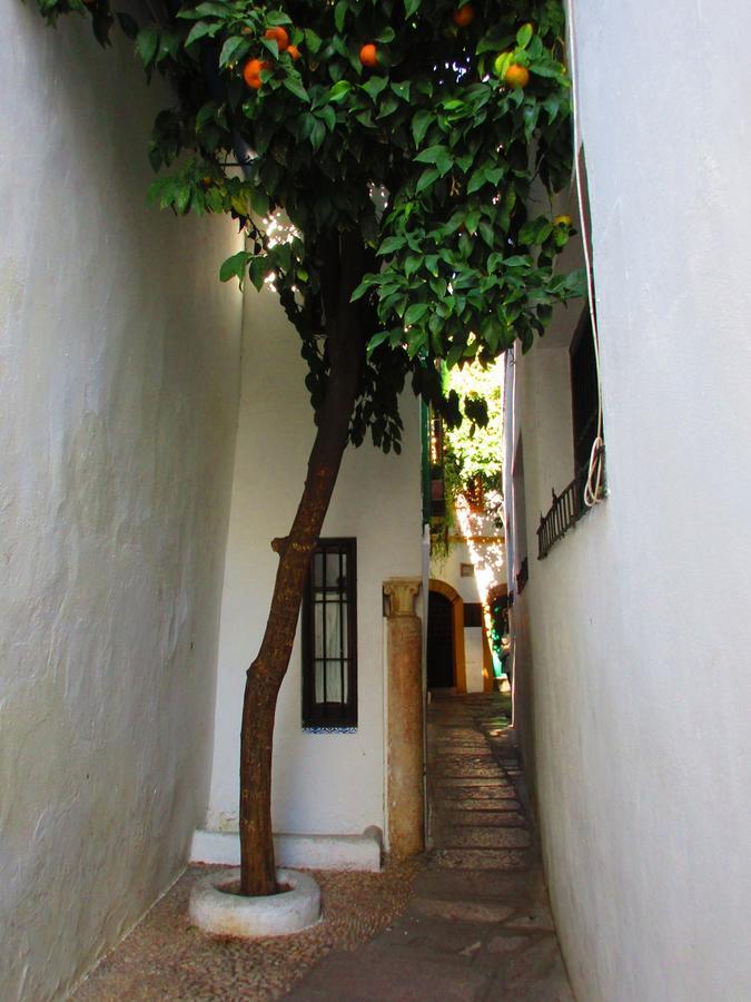 Cordoba Con Encanto Lubi I المظهر الخارجي الصورة